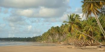 Trinidad landscape