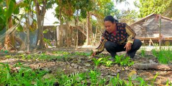 Cambodian homeowner Eat tending to her garden plot