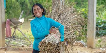 Cambodian homeowner Ny carrying hay