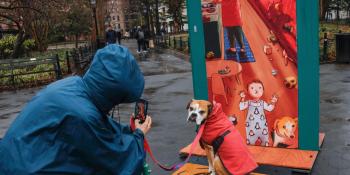 A person in a raincoat is crouched down to take a photo of their dog, also in a raincoat, posing in front of one of the artist-designed doors.