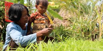 Elderly woman showing her young grandchild how to work in the garden.