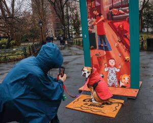 A person in a raincoat is crouched down to take a photo of their dog, also in a raincoat, posing in front of one of the artist-designed doors.