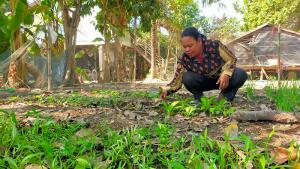 Cambodian homeowner Eat tending to her vegetable garden
