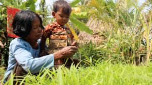 A woman sits in a field and shows some grass blades to a young boy.