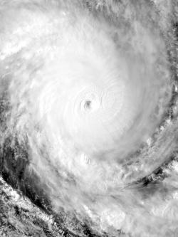 black and white hurricane photo