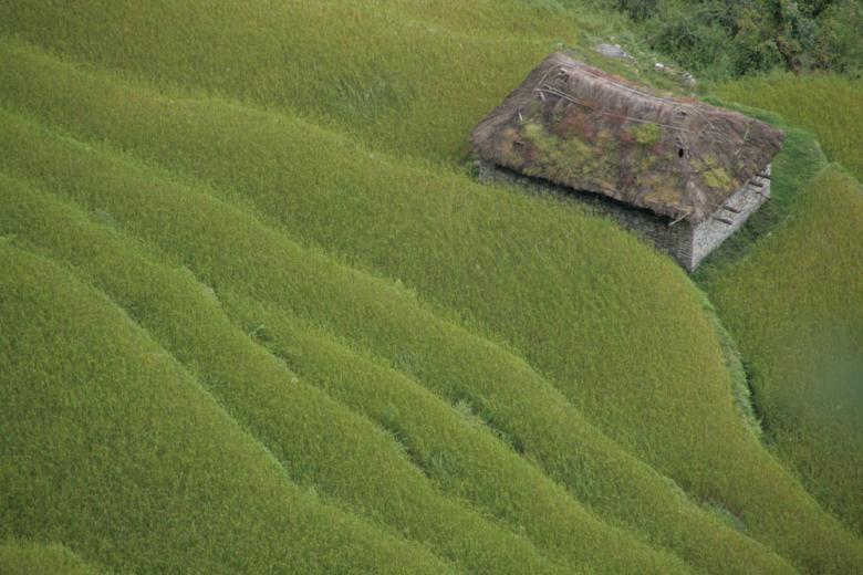 Where does Habitat for Humanity build houses? Habitat for Humanity