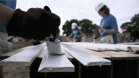 Carter Work Project 2016 volunteer painting