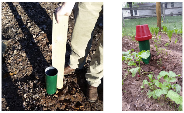 Push n pull worm tower outlet