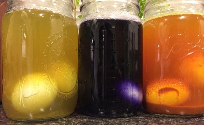 Three jars of yellow, purple, and orange liquid with eggs in them.