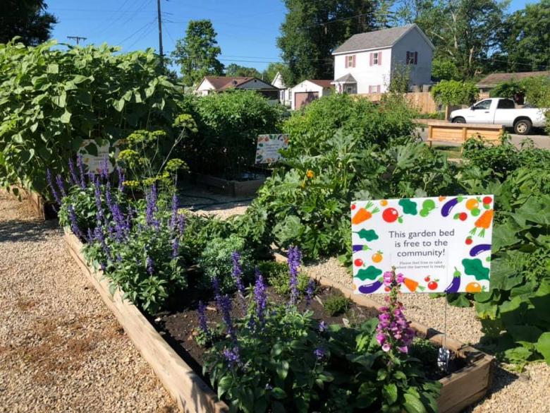 A community garden with plots of green vegetation in Muncie, Indiana.