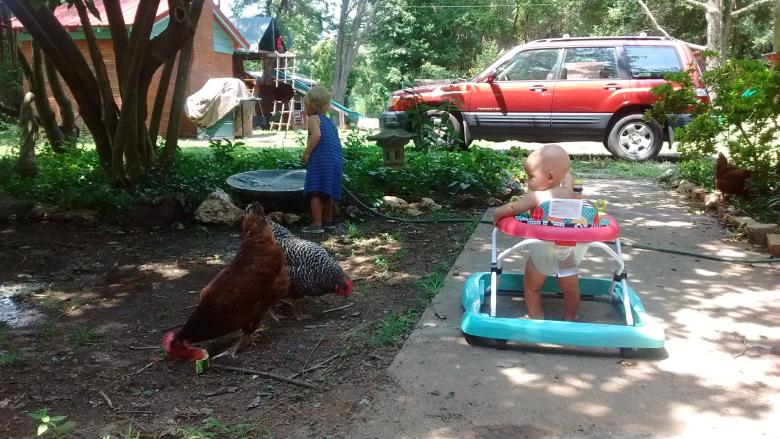 kids and chickens playing in a driveway in the foreground, with a red Subaru parked in the background