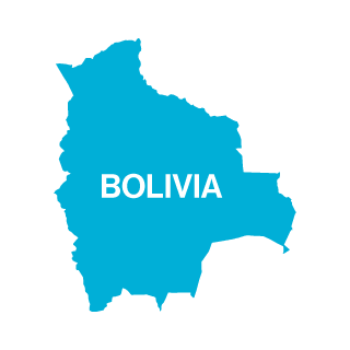 Bolivia icon.