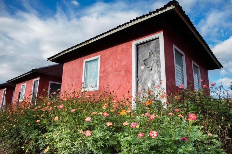 red stucco house with pink flowers blooming along front