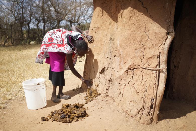 A Maasai woman repairing the walls of her manyatta