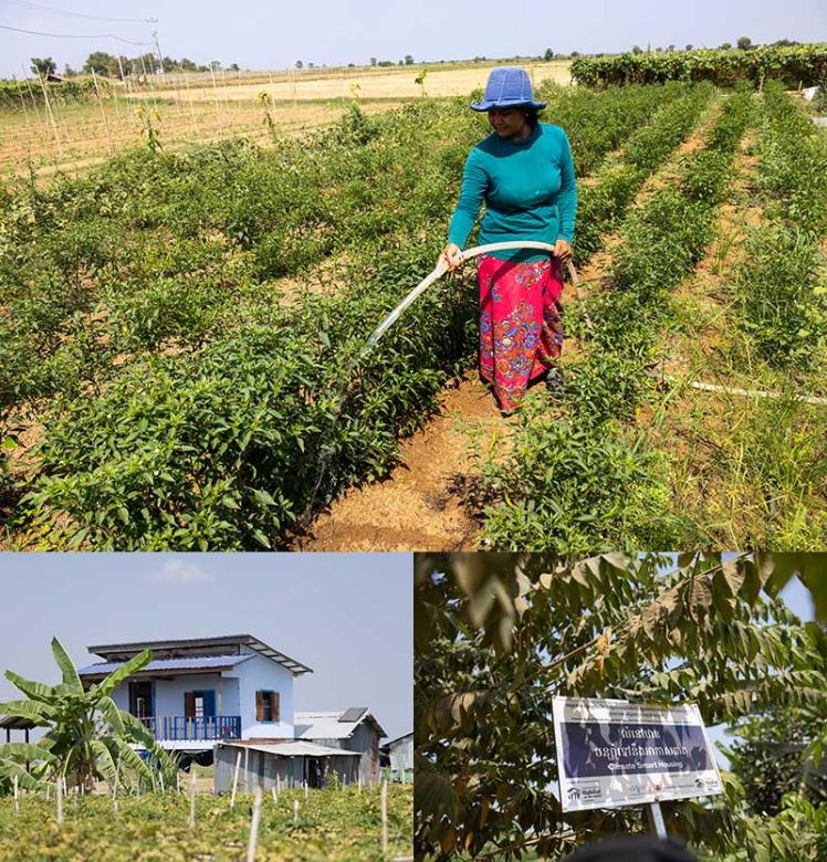 Cambodian homeowner Sinang watering her crops